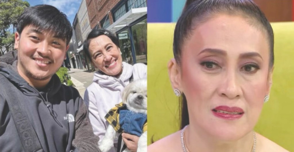 Ai-Ai delas Alas revokes estranged husband’s U.S. Green Card&nbsp;petition