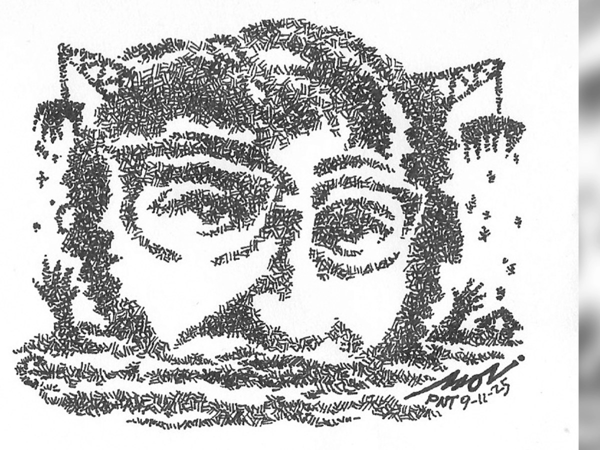 When Public Funds and Democracy Flood&nbsp;Away