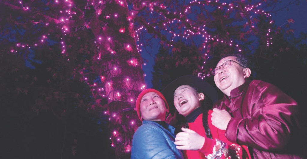 Bear Creek Lights returns with sparkling new paths and&nbsp;features