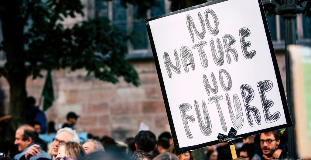 Province releases independent review of&nbsp;CleanBC